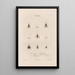 Insects collected in Africa and America Pl55 - Jean Gabriel Prêtre — framed artwork on a wall