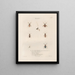 Insects collected in Africa and America Pl57 - Jean Gabriel Prêtre — framed artwork on a wall