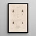 Insects collected in Africa and America Pl58 - Jean Gabriel Prêtre — framed artwork on a wall