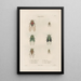 Insects collected in Africa and America Pl59 - Jean Gabriel Prêtre — framed artwork on a wall
