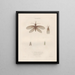 Insectes recueillis en Afrique et en Amérique Pl64 - Jean Gabriel Prêtre — framed artwork on a wall
