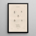 Insects collected in Africa and America Pl68 - Jean Gabriel Prêtre — framed artwork on a wall