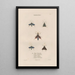 Insects collected in Africa and America Pl69 - Jean Gabriel Prêtre — framed artwork on a wall