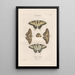 Insects collected in Africa and America Pl76 - Jean Gabriel Prêtre — framed artwork on a wall