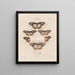 Insects collected in Africa and America Pl82 - Jean Gabriel Prêtre — framed artwork on a wall