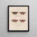 Insects collected in Africa and America Pl85 - Jean Gabriel Prêtre — framed artwork on a wall