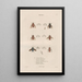 Insects collected in Africa and America Pl89 - Jean Gabriel Prêtre — framed artwork on a wall