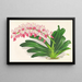 Aerides maculosum - Jean Jules Linden — framed artwork on a wall