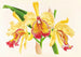 Cattleya aurea - Jean Jules Linden — artwork view