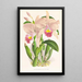 Cattleya Trianae - Jean Jules Linden — framed artwork on a wall