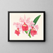 Cattleya gigas - Jean Jules Linden — framed artwork on a wall
