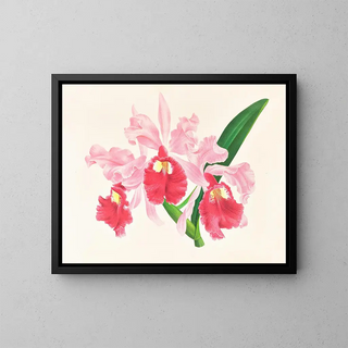 Cattleya gigas - Jean Jules Linden — framed artwork on a wall