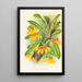 Cirrhopetalum mastersianum - Jean Jules Linden — framed artwork on a wall