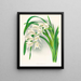 Masters of Cymbidium - Jean Jules Linden — framed artwork on a wall