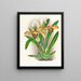 Cypripedium brillant - Jean Jules Linden — framed artwork on a wall
