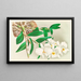 Dendrobium infundibulum - Jean Jules Linden — framed artwork on a wall