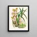 Épidendrum atropurpureum - Jean Jules Linden — framed artwork on a wall