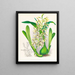 Épidendrum prismatocarpum - Jean Jules Linden — framed artwork on a wall