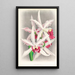 Laelia elegans - Jean Jules Linden — framed artwork on a wall