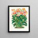 Masdevallia est fougueux - Jean Jules Linden — framed artwork on a wall