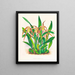 Long Palatine Maxillary - Jean Jules Linden — framed artwork on a wall