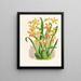 Odontoglossum schillerianus - Jean Jules Linden — framed artwork on a wall