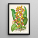 Oncidium Lannceanum - Jean Jules Linden — framed artwork on a wall