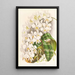 Phalaenopsis Stuartiana - Jean Jules Linden — framed artwork on a wall
