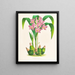 Spathoglotte repliée - Jean Jules Linden — framed artwork on a wall