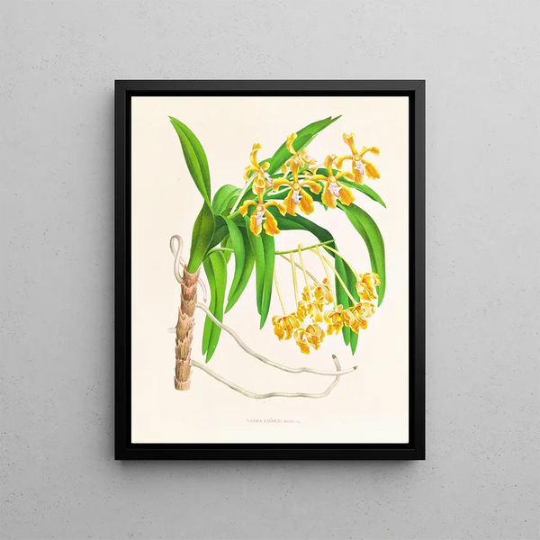 Come and Wait - Jean Jules Linden — framed artwork on a wall