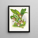 Zygopetalum jorisinum - Jean Jules Linden — framed artwork on a wall