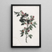 Branches de cerises précoces - Jean-Louis Prévost — framed artwork on a wall