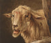 Head of a Sheep after Andries Vermeulen - Jean Zacharie Mazel — artwork view
