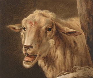 Head of a Sheep after Andries Vermeulen - Jean Zacharie Mazel — artwork view