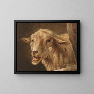 Head of a Sheep after Andries Vermeulen - Jean Zacharie Mazel — framed artwork on a wall