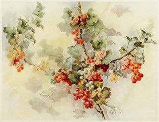Groselles Painting - Jeanne M. Stewart — artwork view