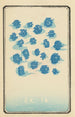 Catalogue illustré des obus de jour Ex 14 - Jinta Hirayama — artwork view