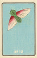 Catalogue illustré des obus de jour No 12 - Jinta Hirayama — artwork view