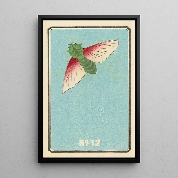 Catalogue illustré des obus de jour No 12 - Jinta Hirayama — framed artwork on a wall