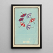 Illustrated Catalog of Daytime Shells No 20 - Jinta Hirayama — framed artwork on a wall