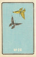 Catalogue illustré des obus de jour No 26 - Jinta Hirayama — artwork view
