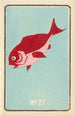 Illustrated Catalog Painting of Day Shells No 27 - Jinta Hirayama — artwork view