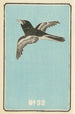 Catalogue illustré des obus de jour No 32 - Jinta Hirayama — artwork view