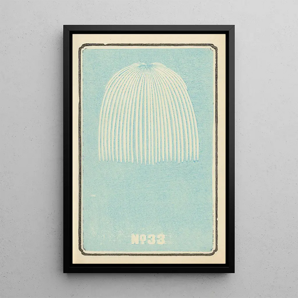 Catalogue illustré des obus de jour No 33 - Jinta Hirayama — framed artwork on a wall
