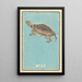 Illustrated Catalog Painting of Day Shells No 37 - Jinta Hirayama — framed artwork on a wall