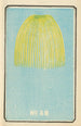 Illustrated Catalogue of Day Bombs No. 49 - Jinta Hirayama — artwork view