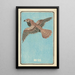Illustrated Catalogue of Day Bombs No. 55 - Jinta Hirayama — framed artwork on a wall