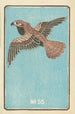 Illustrated Catalogue of Day Bombs No. 55 - Jinta Hirayama — artwork view