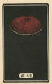 Fireworks Night No. 40 - Jinta Hirayama — artwork view
