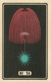 Fireworks at Night No. 56 - Jinta Hirayama — artwork view
